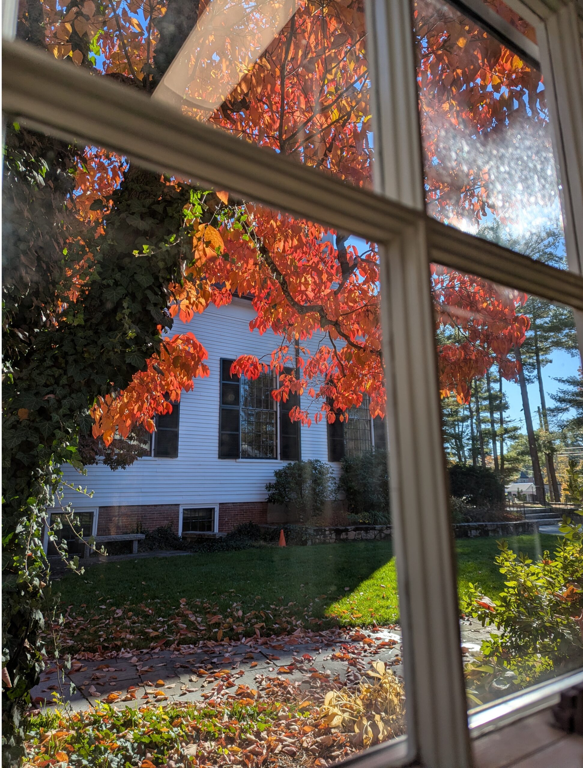 Grand Reopening Celebration on October 18